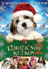  Dvanajst boinih kukov - 12 Dogs of Christmas: Great Puppy Rescue  
